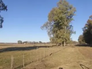 Chacra en venta foto 2