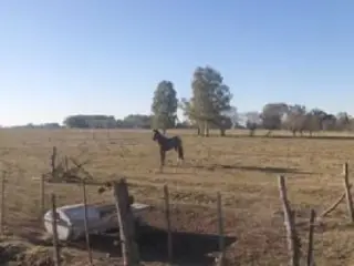 Chacra en venta foto 4