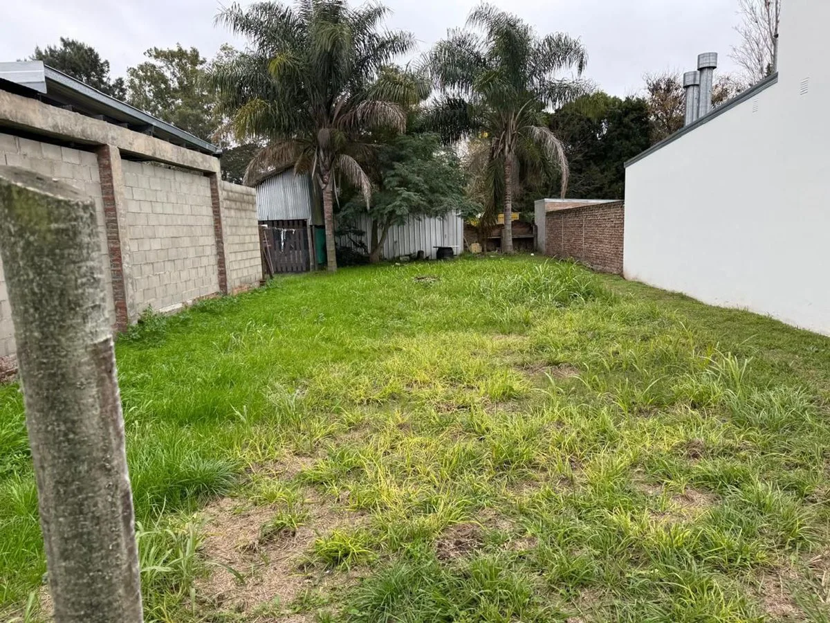 Gran lote a la venta foto 2