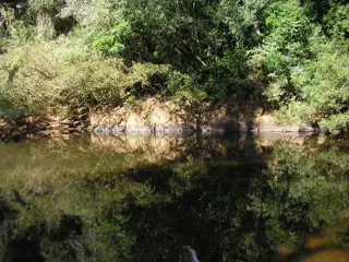 MUY BUEN CAMPO EN VENTA. foto 2