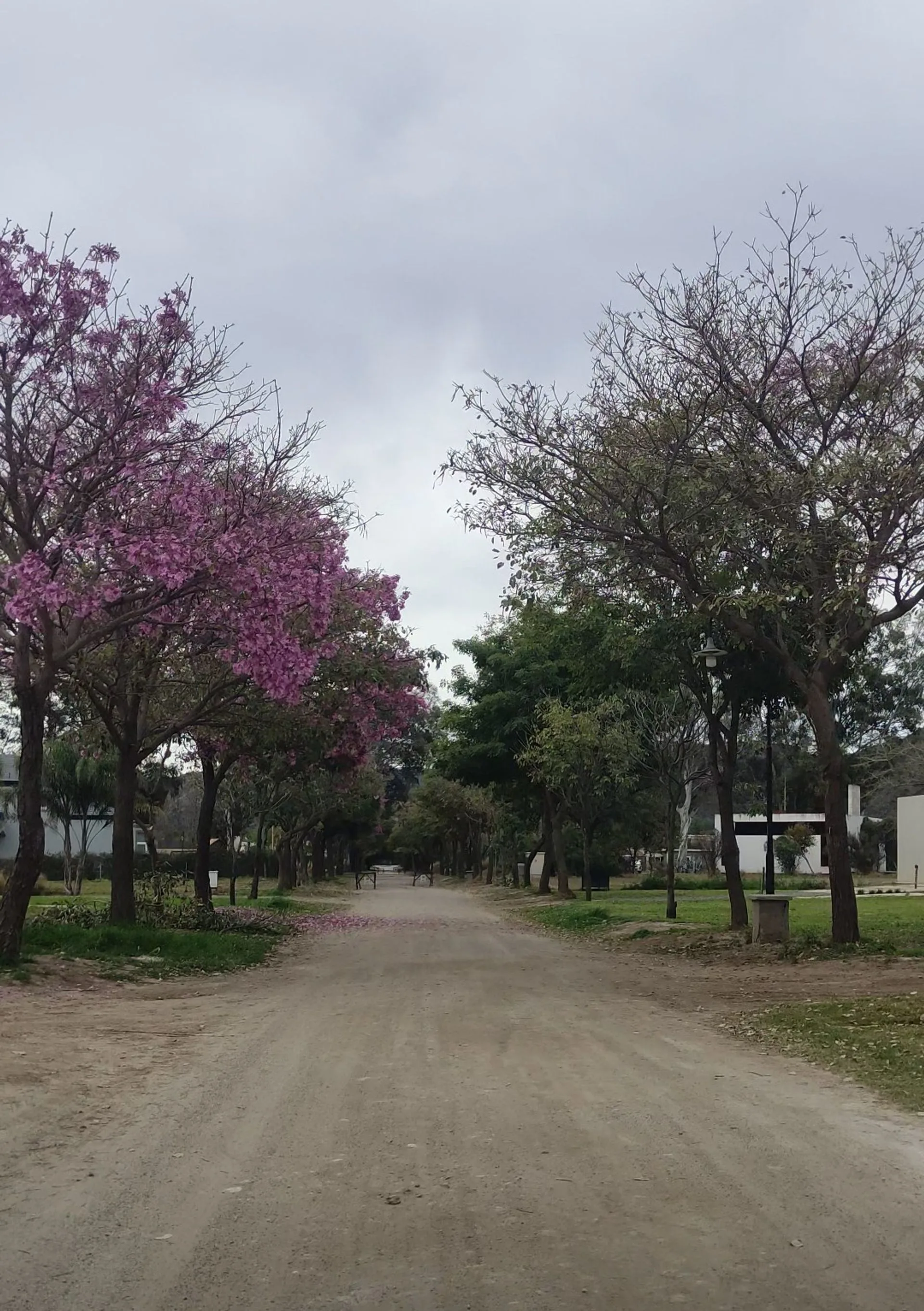 Terreno en Venta Country chacras de valle nuevo foto 5