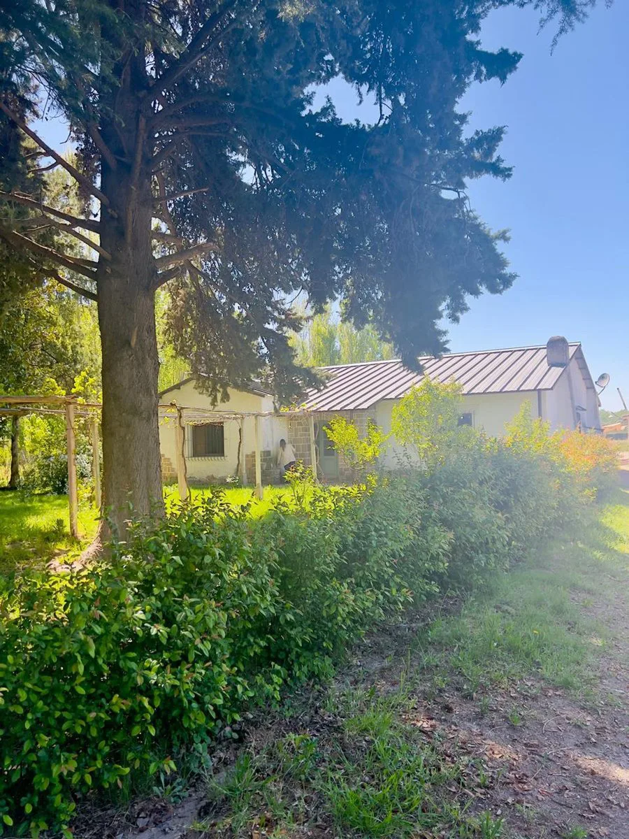 Venta Lote con Galpón y casa a refaccionar foto 3