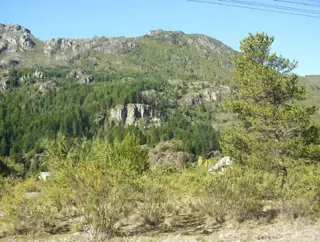 Imperdible Lote Céntrico en Lago Puelo. foto 5