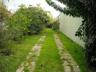CASA EN LOTE DE 8.66 X 50 CON DOS DORMITORIOS A REFACCIONAR Y OTRO LOTE LIBRE DE 8.66 X 50 OPORTUNIDAD foto 5