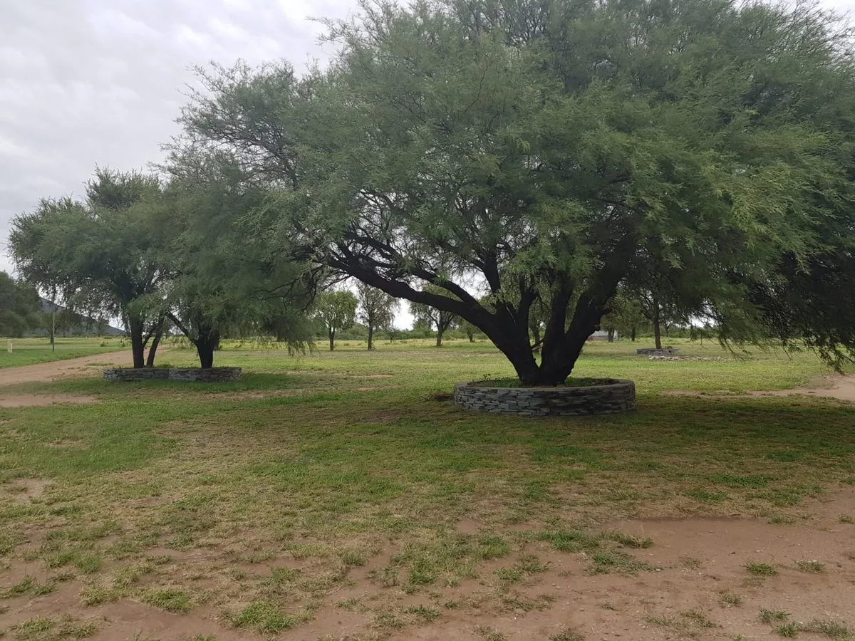 Lote Premium de 1.024 m² en Fincas del Dique foto 5