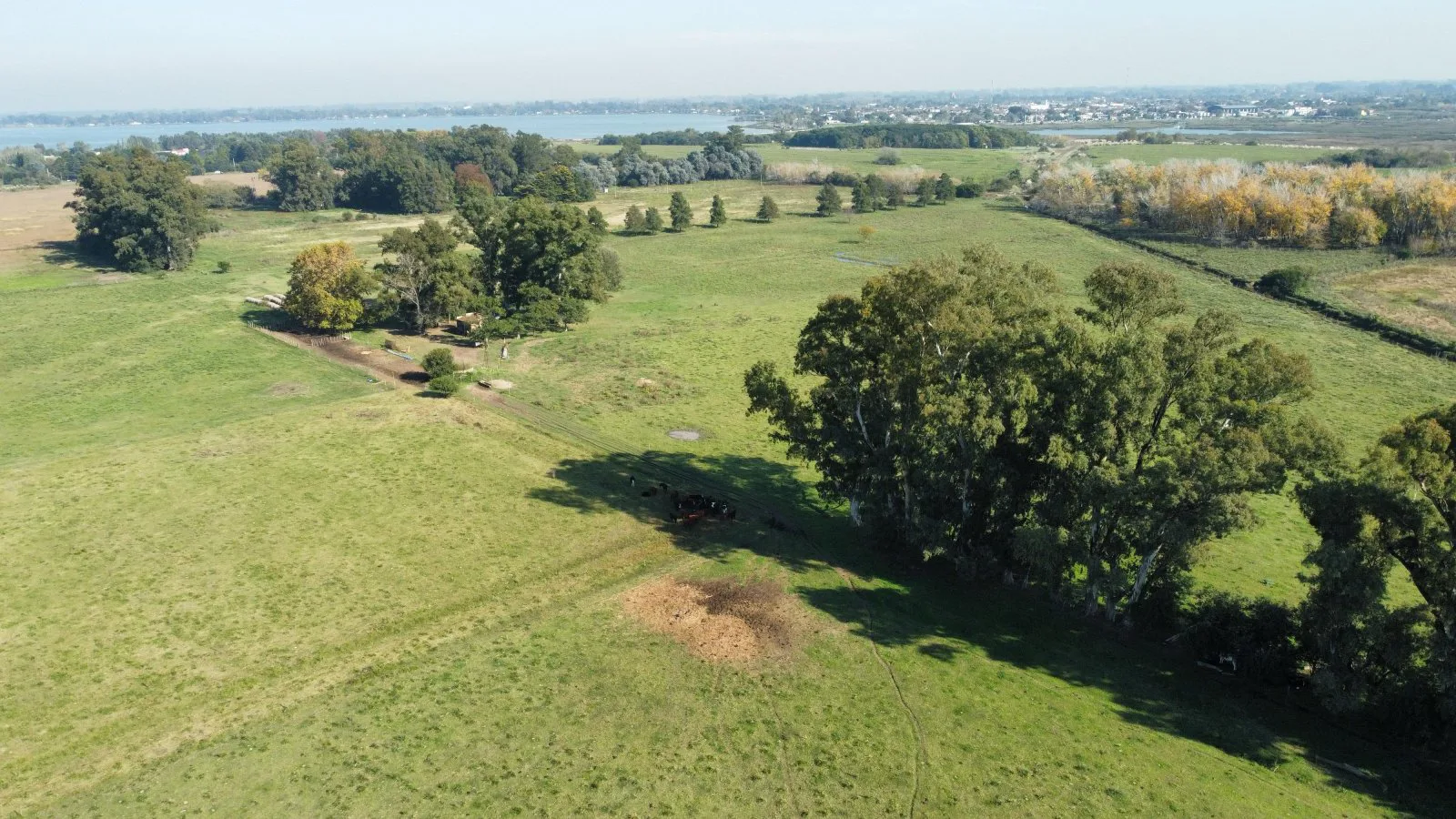 En venta campo de 22 ha en San Miguel del Monte foto 2