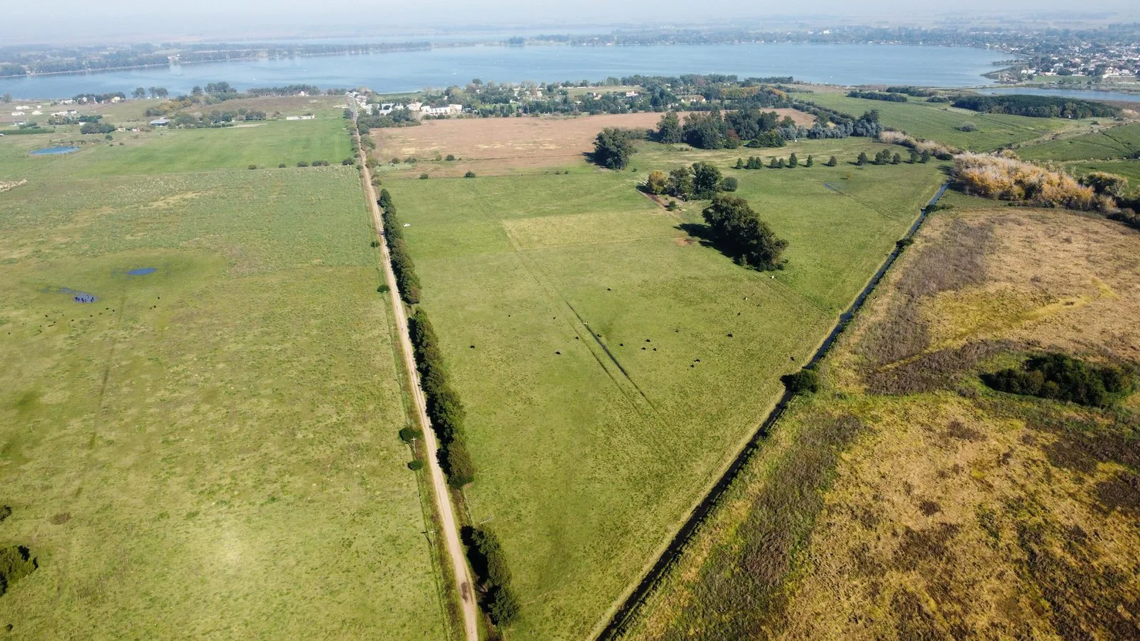 En venta campo de 22 ha en San Miguel del Monte foto 3