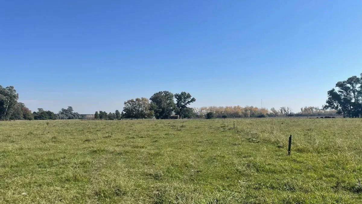 En venta campo de 22 ha en San Miguel del Monte foto 4
