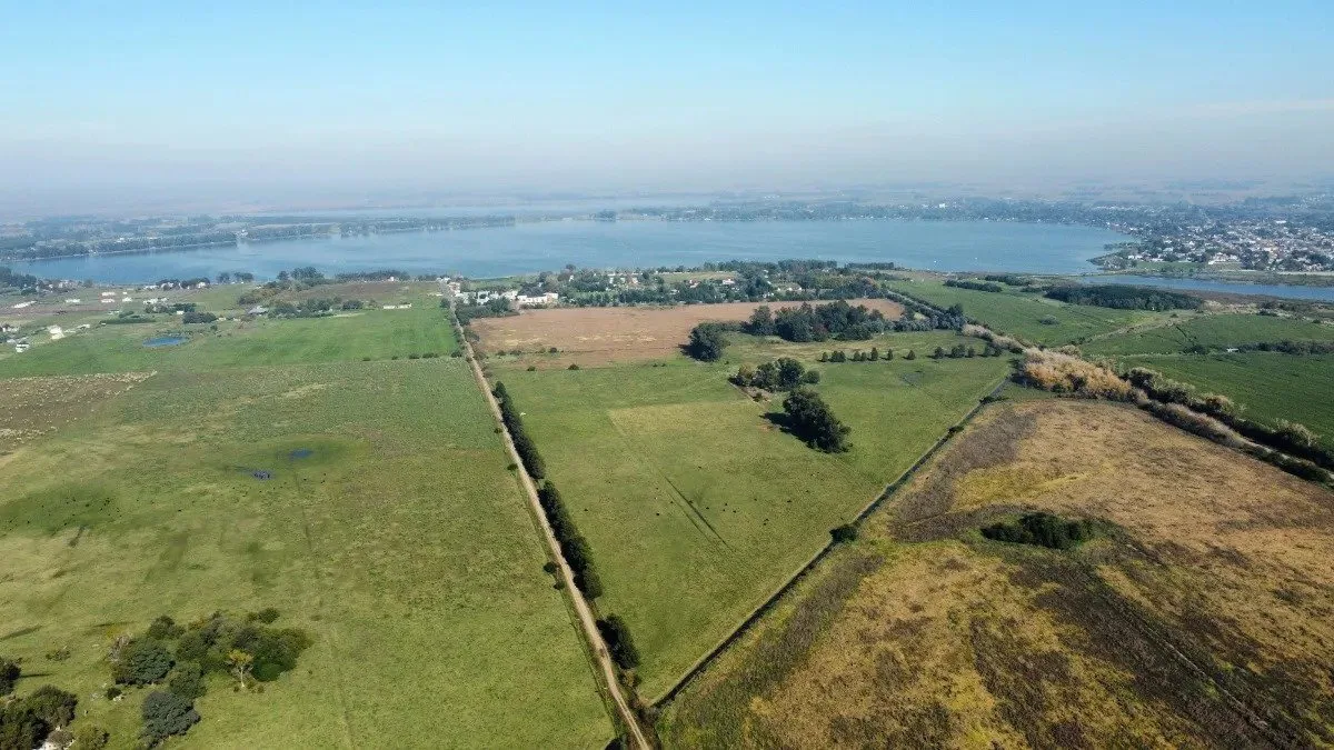 En venta campo de 22 ha en San Miguel del Monte foto 5