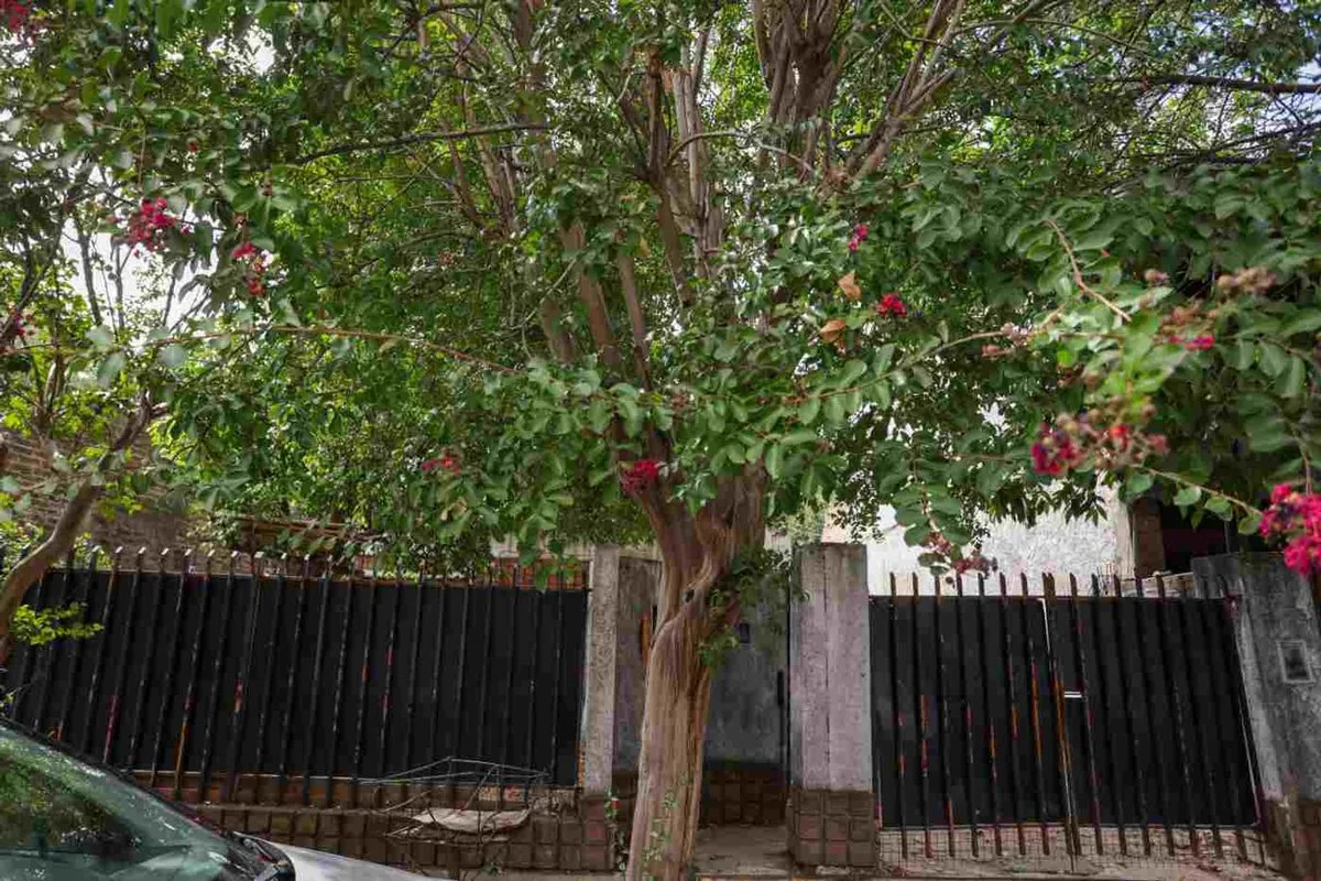 VENTA EXCELENTE LOTE TERRENO CON MEJORAS ITUZAINGÓ foto 3