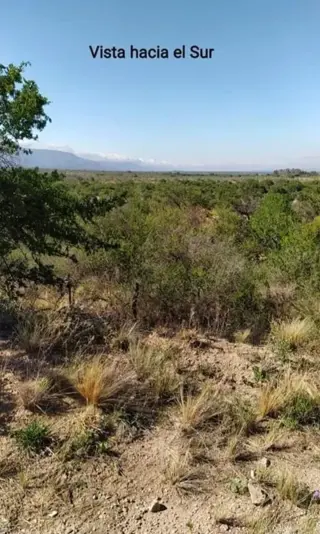 CAMPO 29 HECTAREAS EN VILLA LARCA, SAN LUIS foto 2