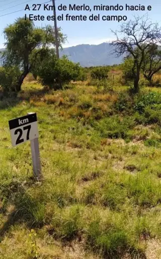 CAMPO 29 HECTAREAS EN VILLA LARCA, SAN LUIS foto 3