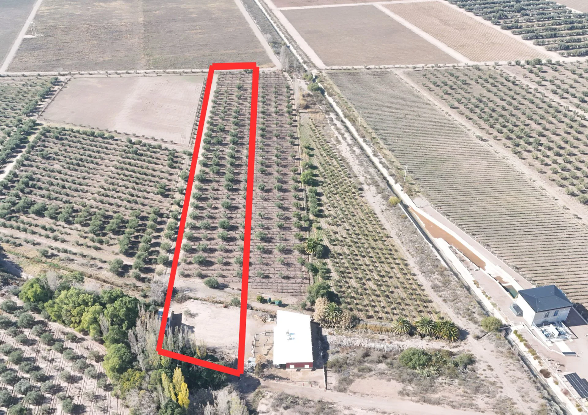 VENTA FINCA MAIPÚ foto 2