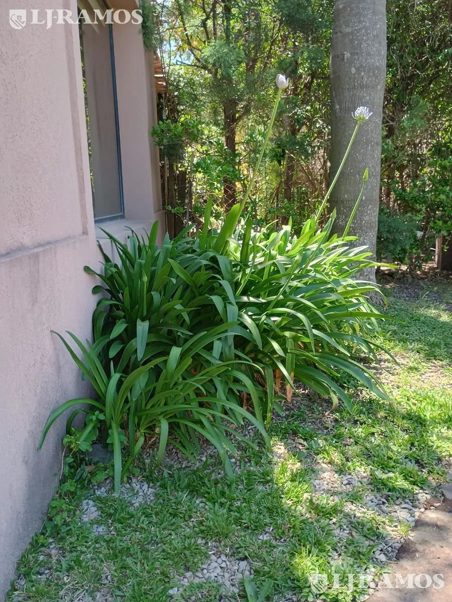 Lindisima casa en venta en Barrio Saint Matthews foto 2