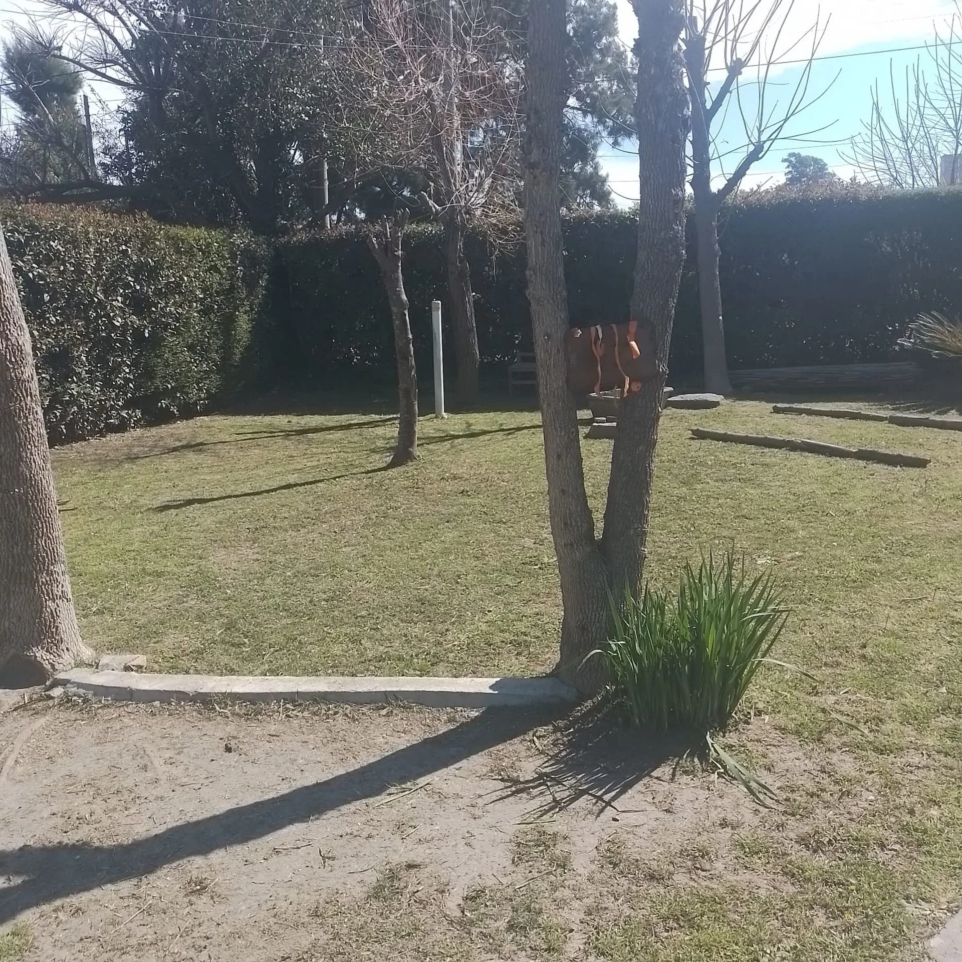 Lote en Venta City Bell 18 x 70 metros foto 2