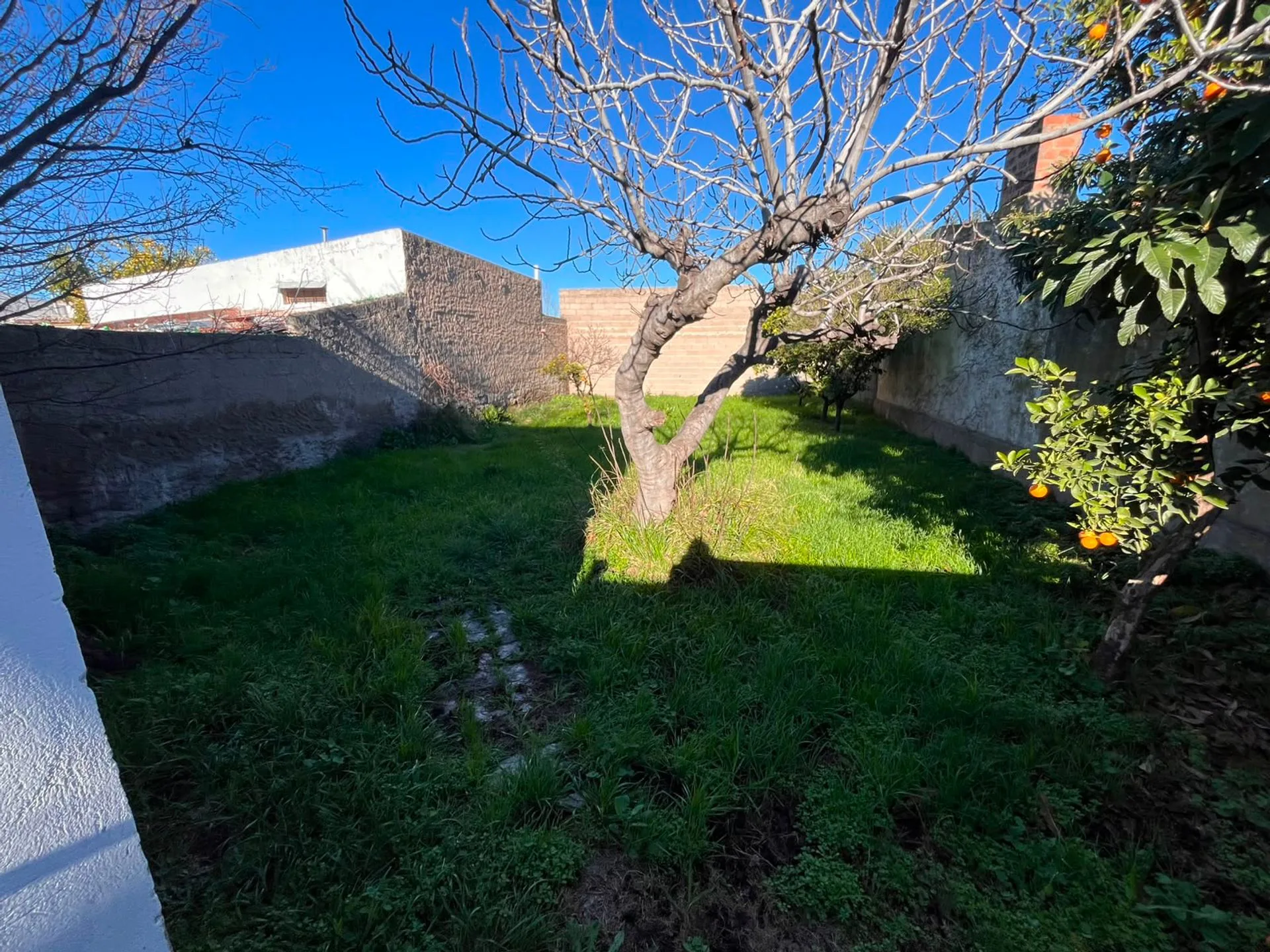 VENTA CASA B. NOROESTE- 3 DORMITORIOS foto 5