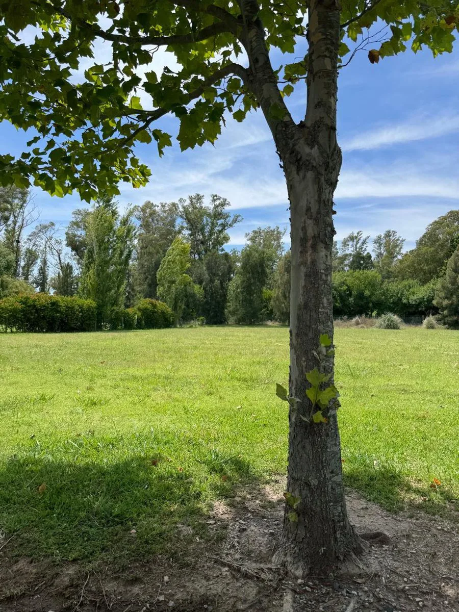 Lote en Área 60 La Escondida. OPORTUNIDAD! foto 4