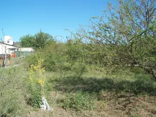 El mejor Lote de San Antonio - Playas de Oro, con la mejor vista, 702 m2 , muy buen entorno a una cuadra del rio. foto 2