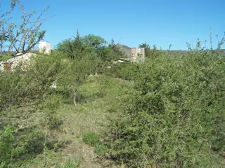El mejor Lote de San Antonio - Playas de Oro, con la mejor vista, 702 m2 , muy buen entorno a una cuadra del rio. foto 3