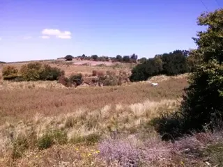 Venta Campo 17ha - Ruta Villorco 200 - Estancia Grande - San Luis foto 2