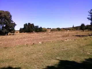 Venta Campo 17ha - Ruta Villorco 200 - Estancia Grande - San Luis foto 3