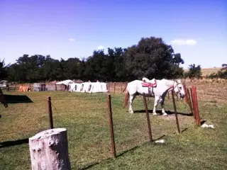 Venta Campo 17ha - Ruta Villorco 200 - Estancia Grande - San Luis foto 4