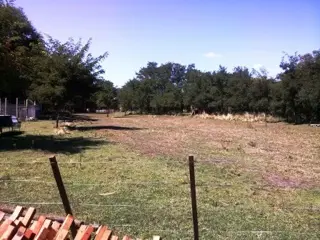 Venta Campo 17ha - Ruta Villorco 200 - Estancia Grande - San Luis foto 5