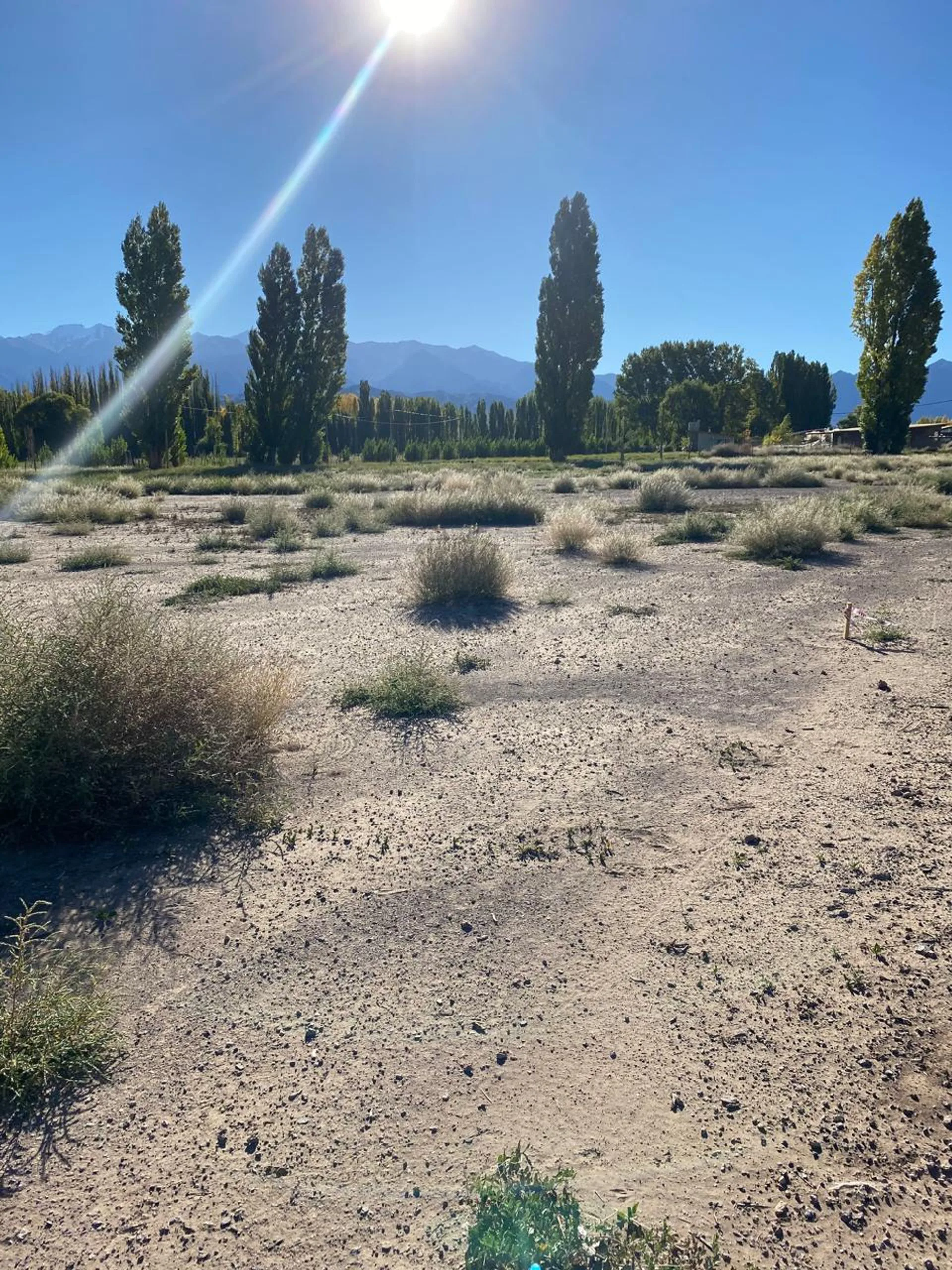 LOTE GRANDE EN USPALLATA, BARRIO TUNDUQUERAL RP 52 foto 2