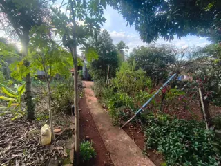 En Venta Terreno único en esquina Piedrabuena y Concordia, Oberá foto 3