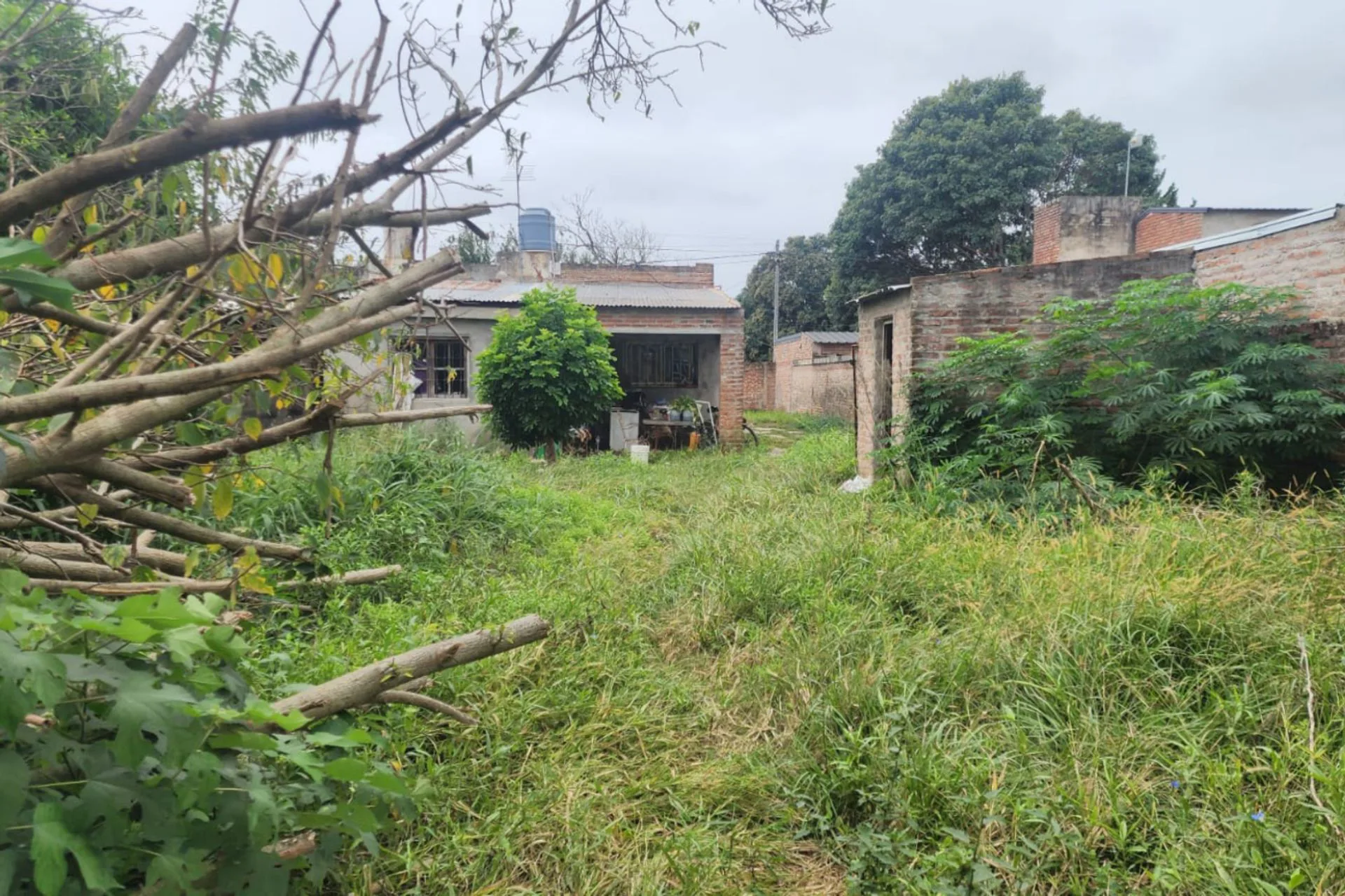CASA A REFACCIONAR Y GRAN TERRENO foto 3