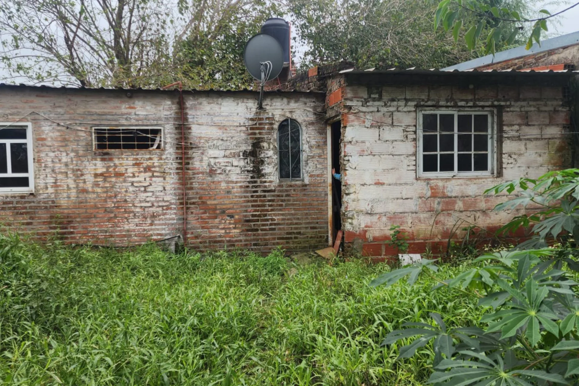 CASA A REFACCIONAR Y GRAN TERRENO foto 5