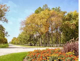 VENTA DE LOTE FINCA JOVEN DE SAN VICENTE GOLF foto 4