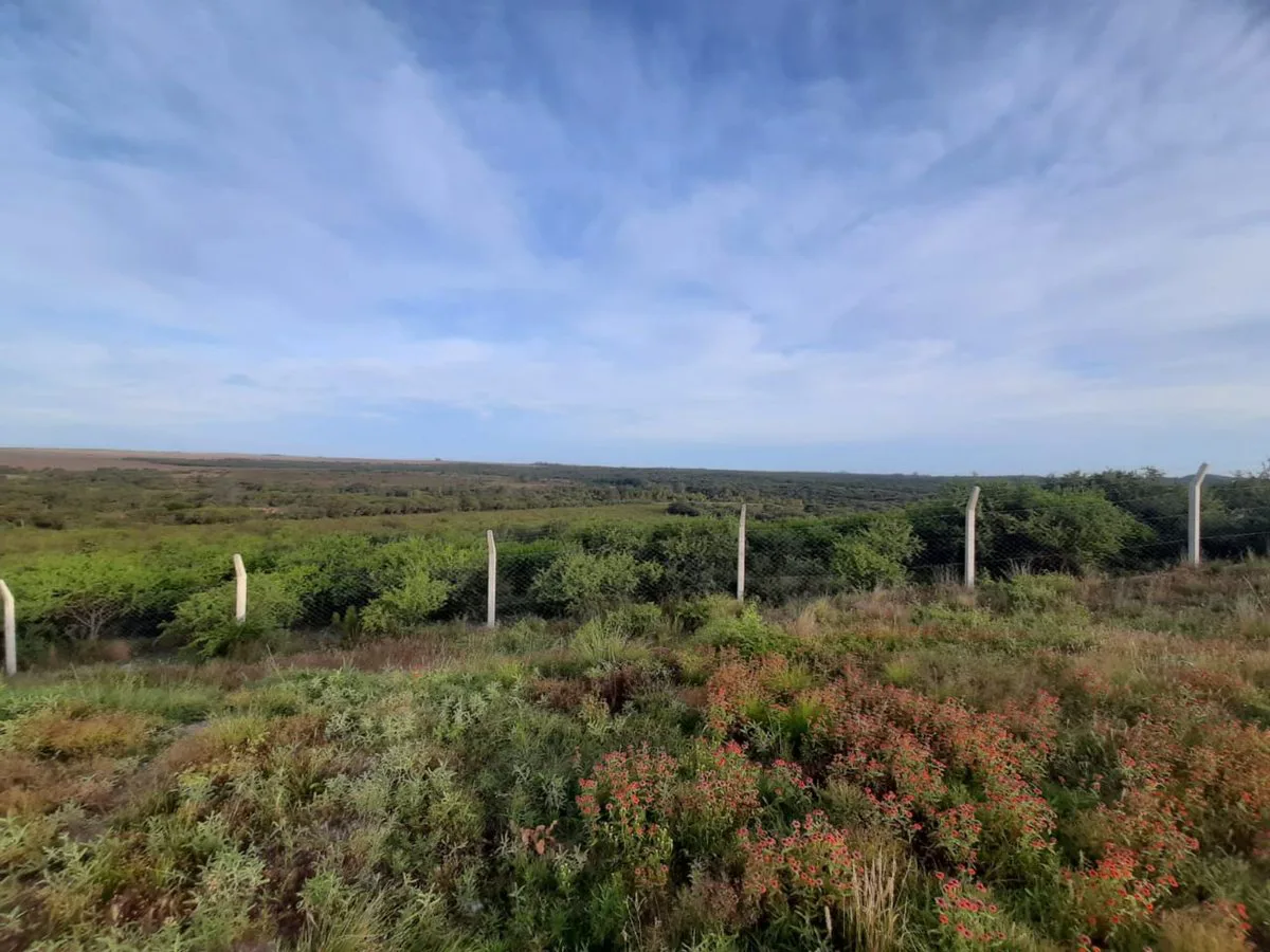 VENTA DE CASA CON 1 HECTAREA DE PARQUE foto 2