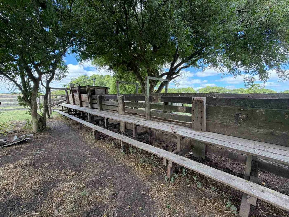 CAMPO VENTA SOBRE RUTA 11 GENERAL LAVALLE 392,6 HA foto 2