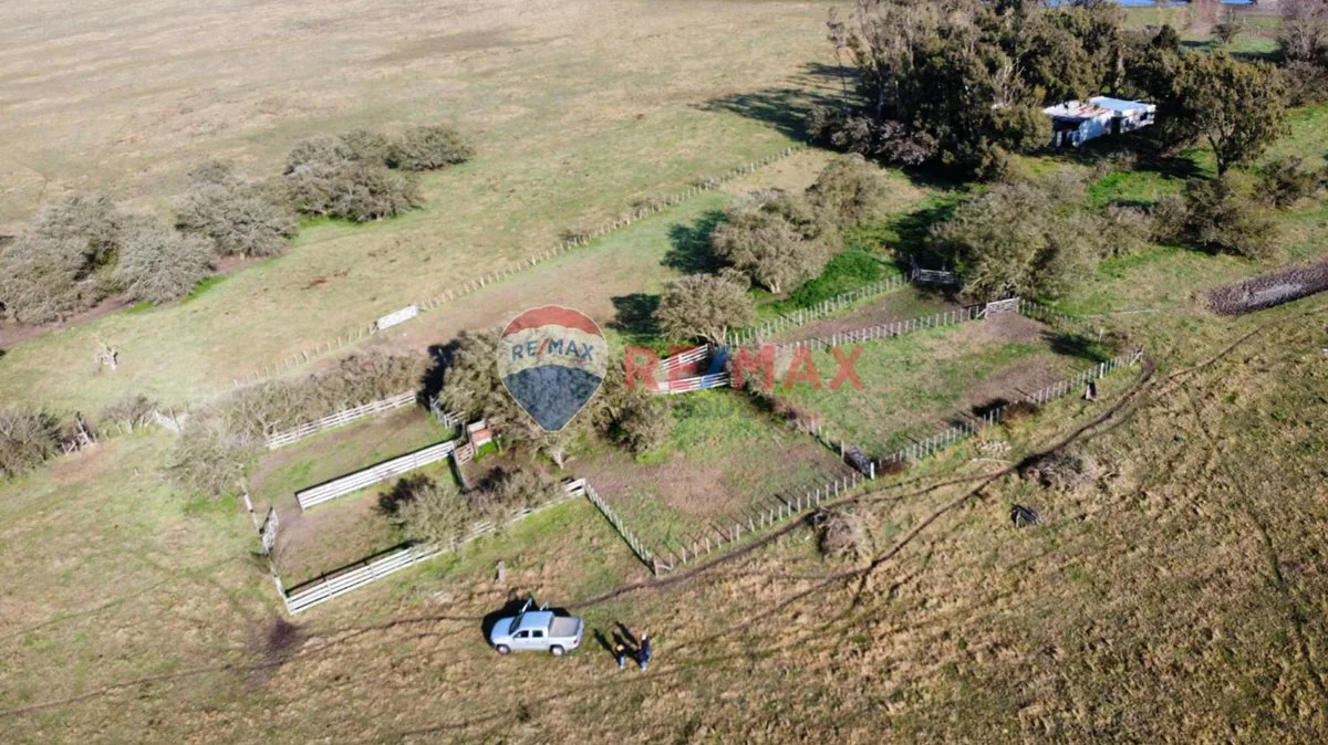 CAMPO VENTA SOBRE RUTA 11 GENERAL LAVALLE 392,6 HA foto 3