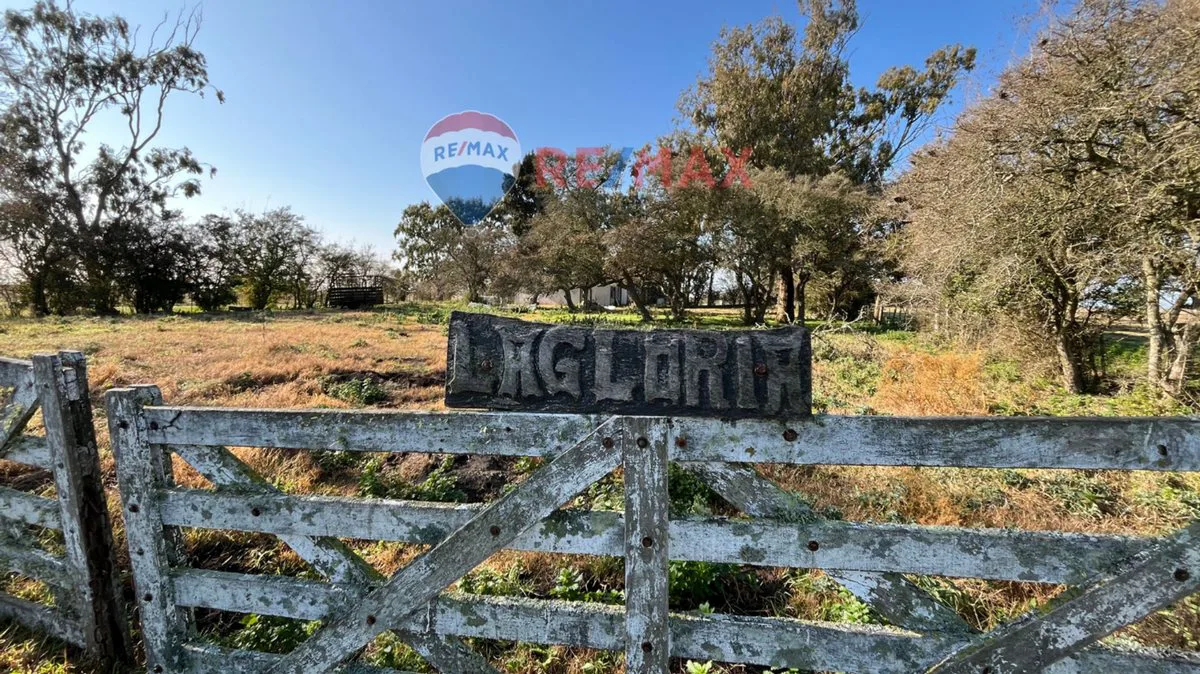 CAMPO VENTA SOBRE RUTA 11 GENERAL LAVALLE 392,6 HA foto 4