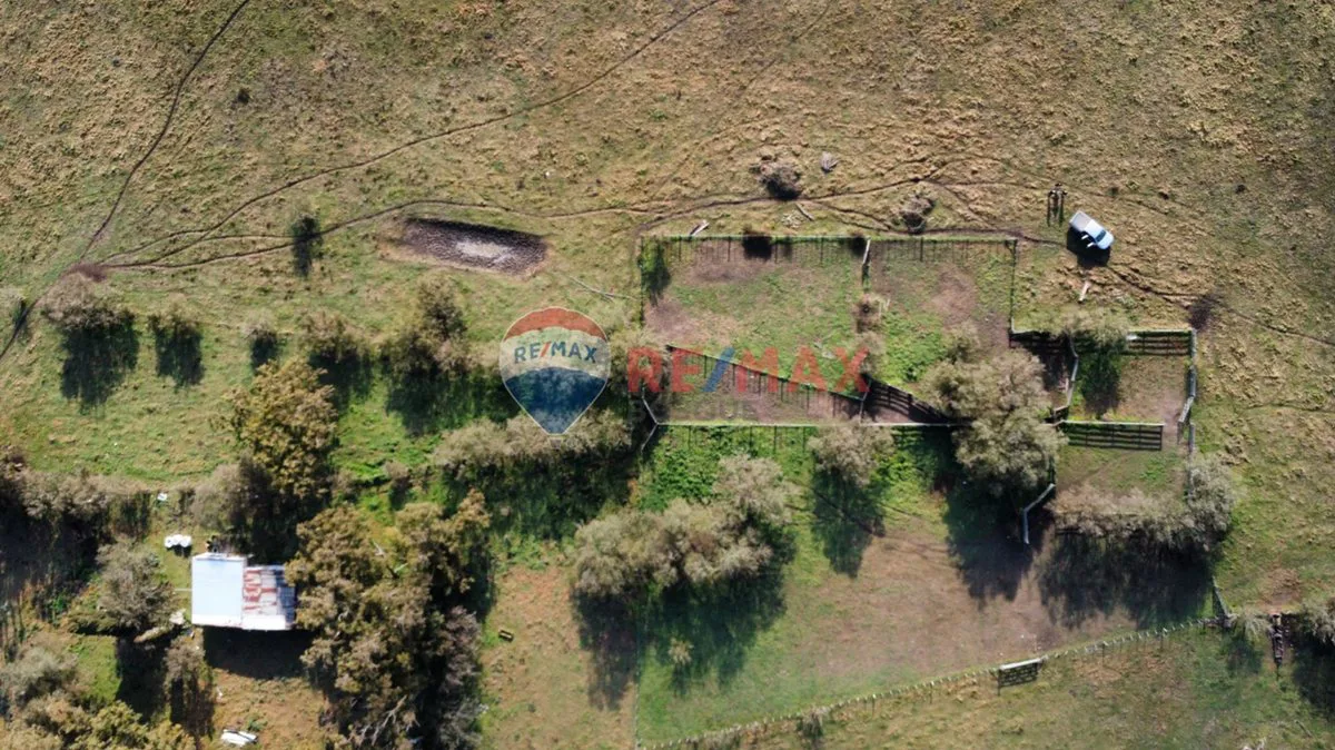 CAMPO VENTA SOBRE RUTA 11 GENERAL LAVALLE 392,6 HA foto 5