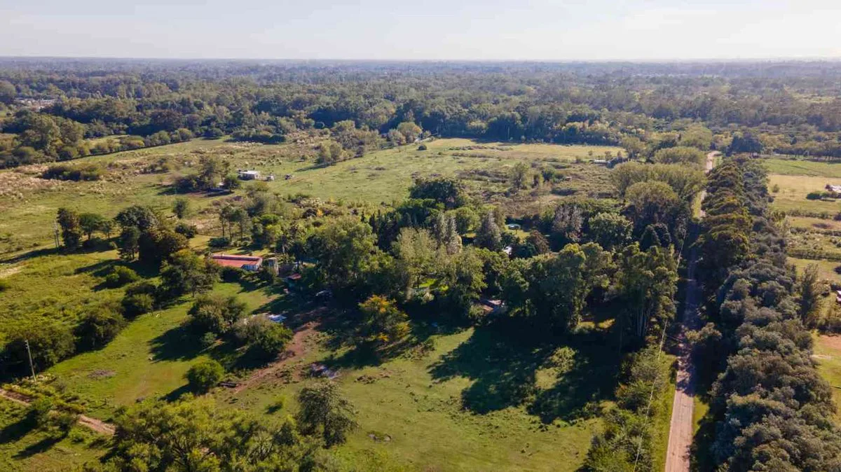 Venta Lote de 4335 m2 en CHACRAS DEL LAGO La Reja foto 5