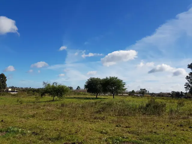 2,5 Has a 800 mts de Camino a Liebig. DEPARTAMENTO COLON.