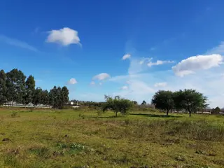 2,5 Has a 800 mts de Camino a Liebig. DEPARTAMENTO COLON. foto 3