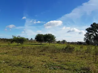2,5 Has a 800 mts de Camino a Liebig. DEPARTAMENTO COLON. foto 4