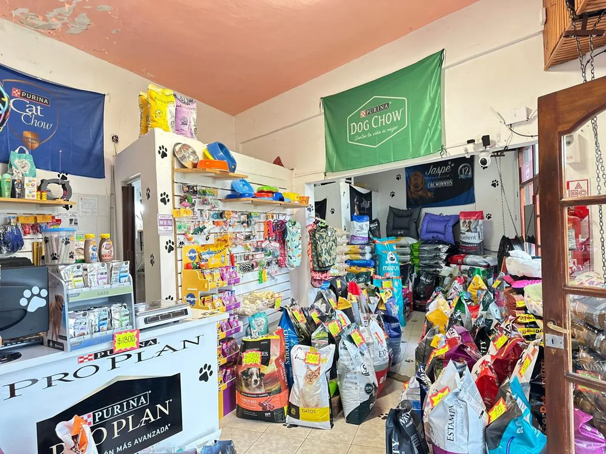 VENTA 5 LOCALES EN BLOCK  PLAYA SERENA foto 5