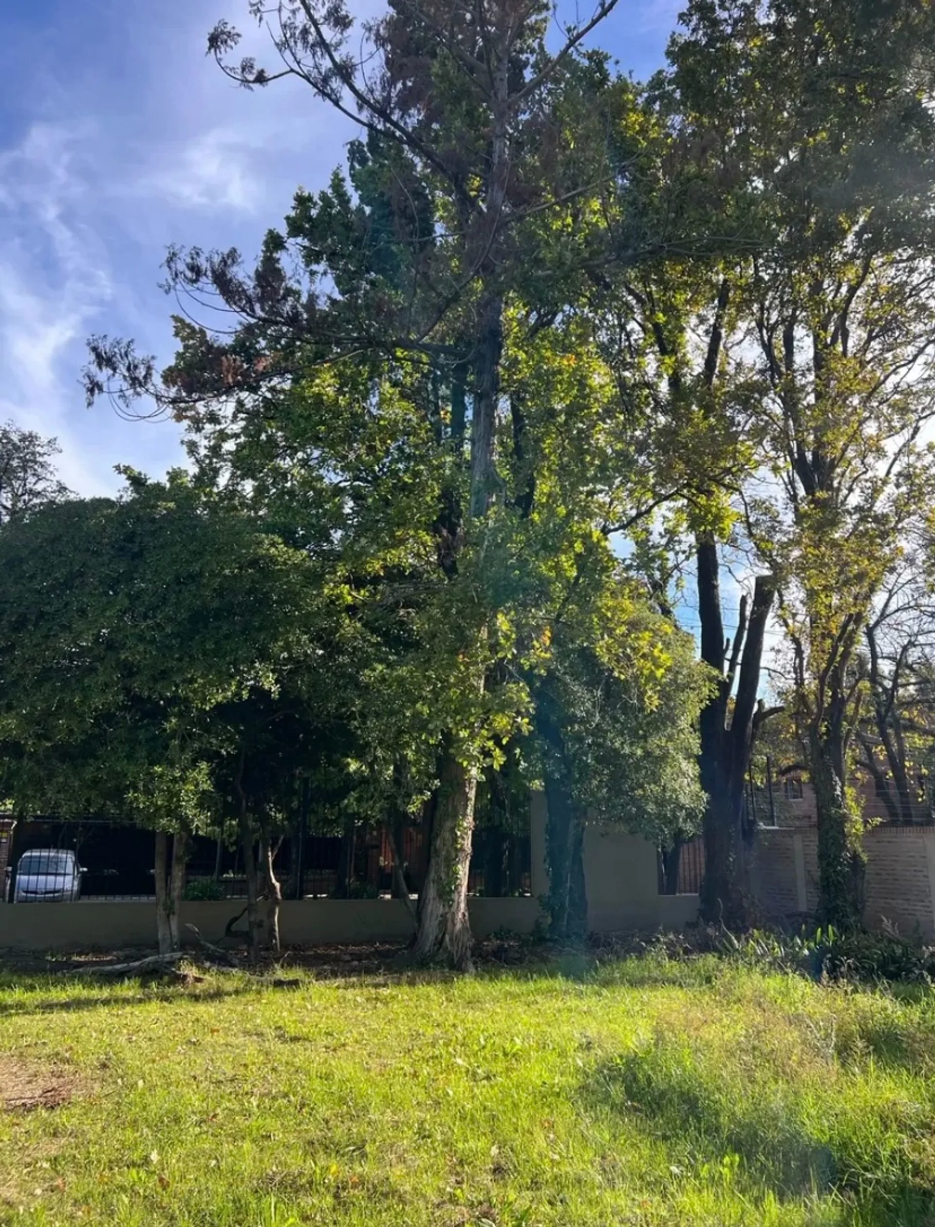 Lote en venta , Barrio cerrado, San isidro foto 5