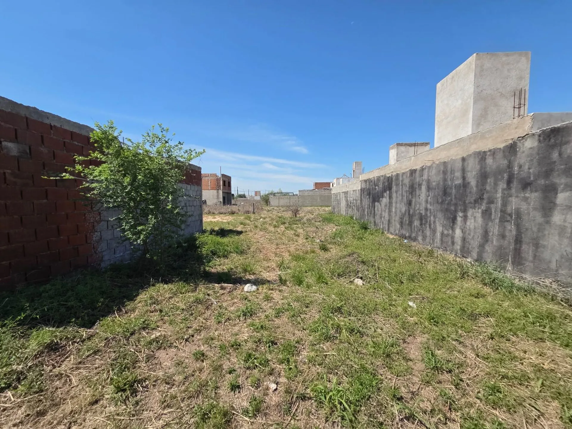 LOTE DE 175 M2 EN ARGUELLO NORTE BARRIO LOTENGO foto 5