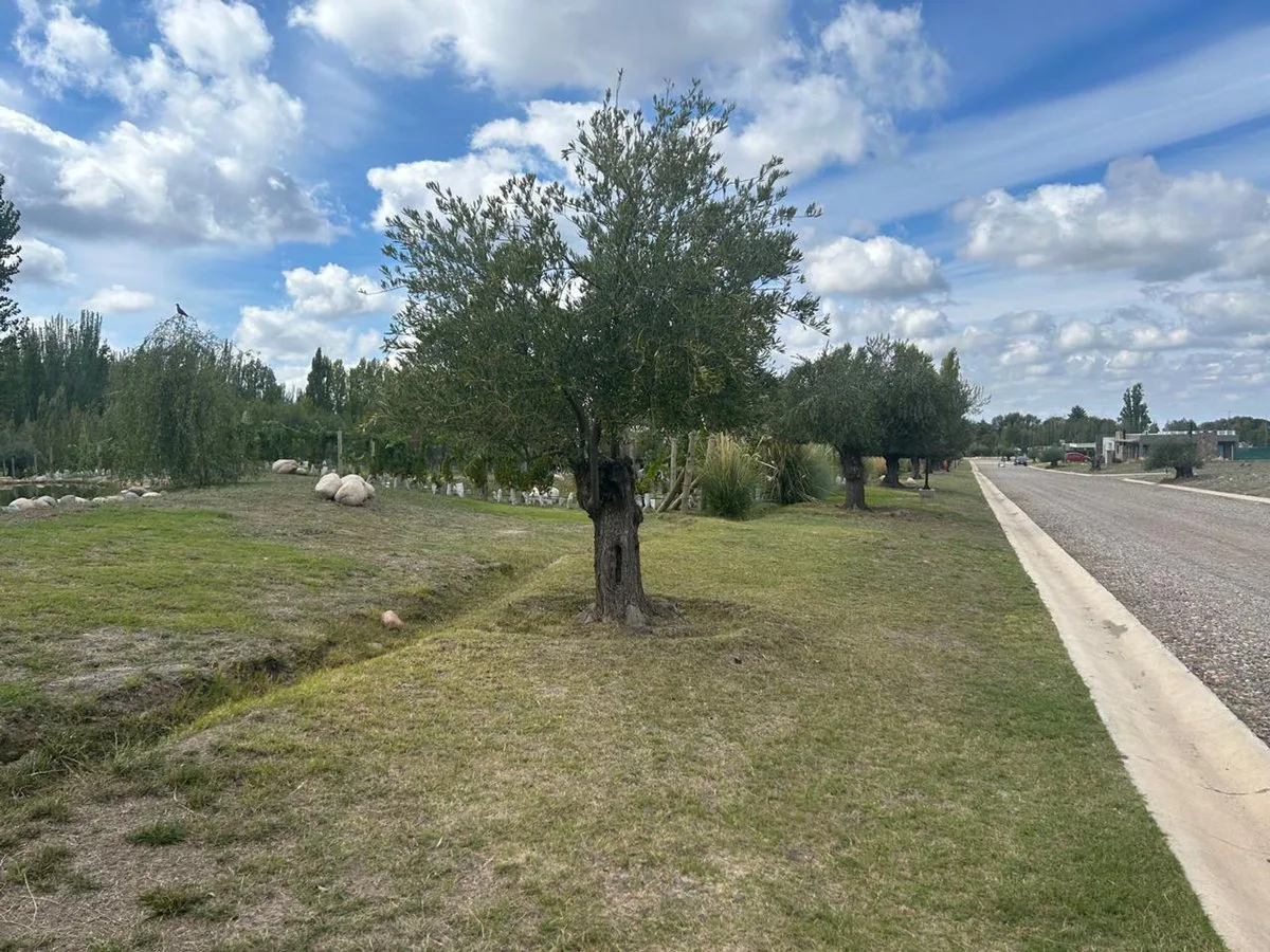 TERRENOS EN BARRIO PRIVADO ËNTREVIDES¨, VALLE DE U foto 5