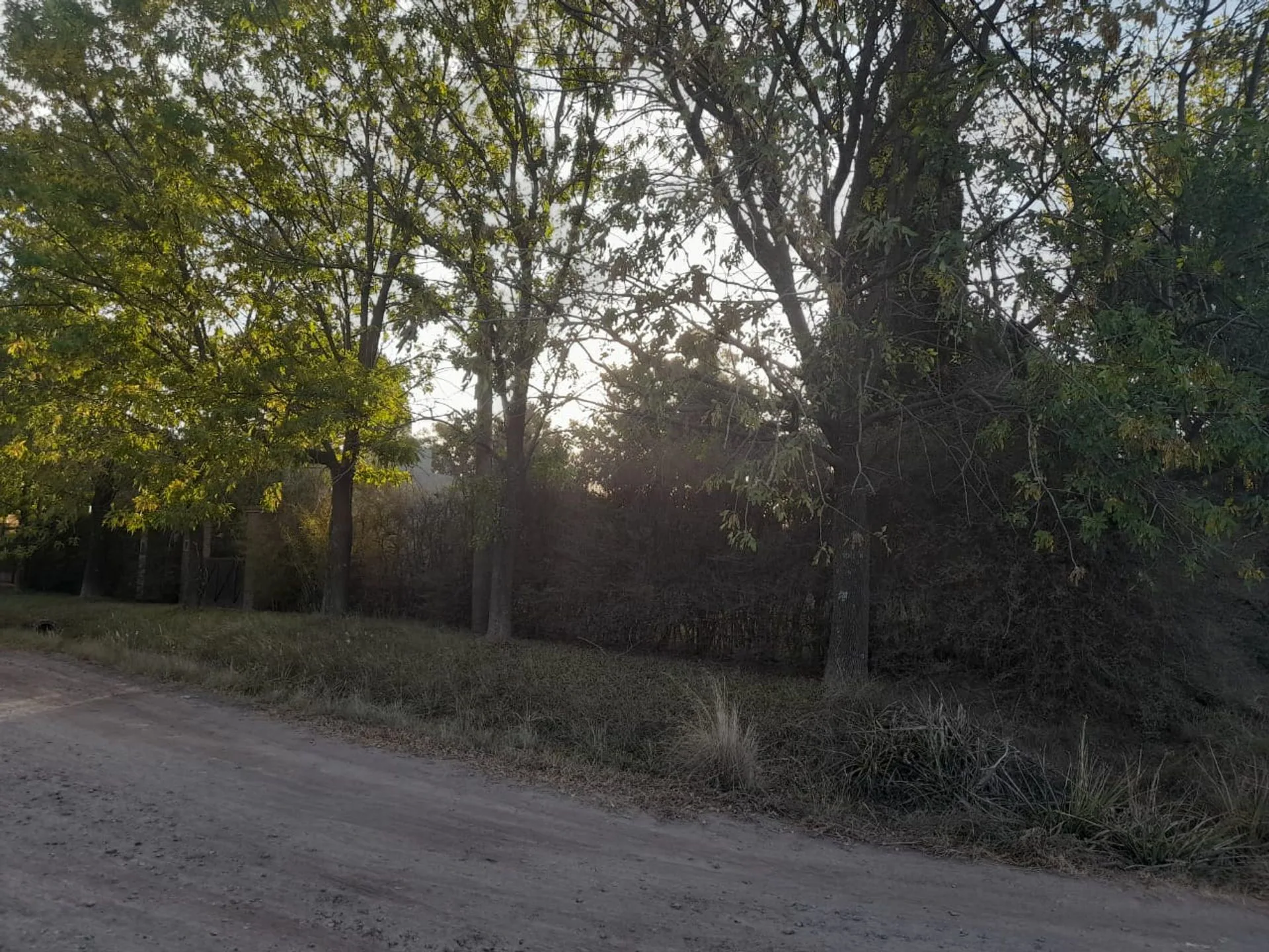 HERMOSO TERRENO PARQUIZADO B.LAS MANZANITAS foto 3