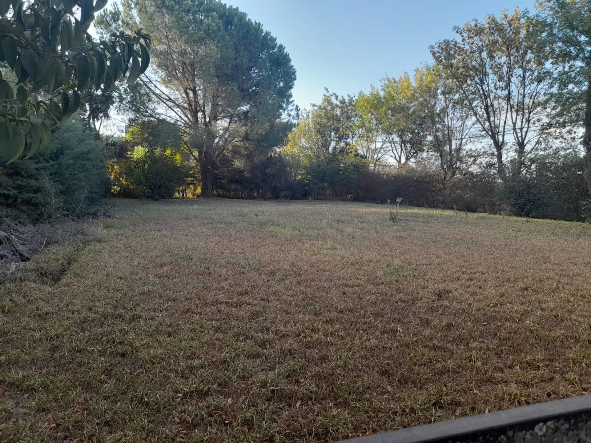 HERMOSO TERRENO PARQUIZADO B.LAS MANZANITAS foto 5