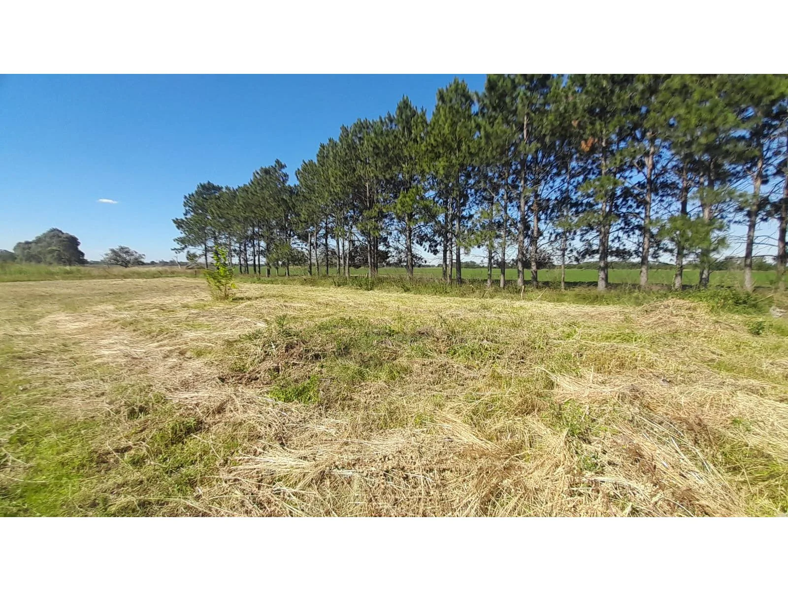 Terreno en venta en Gral. Rodriguez PBA, Barrio San Carlos, 1200 m2 foto 2