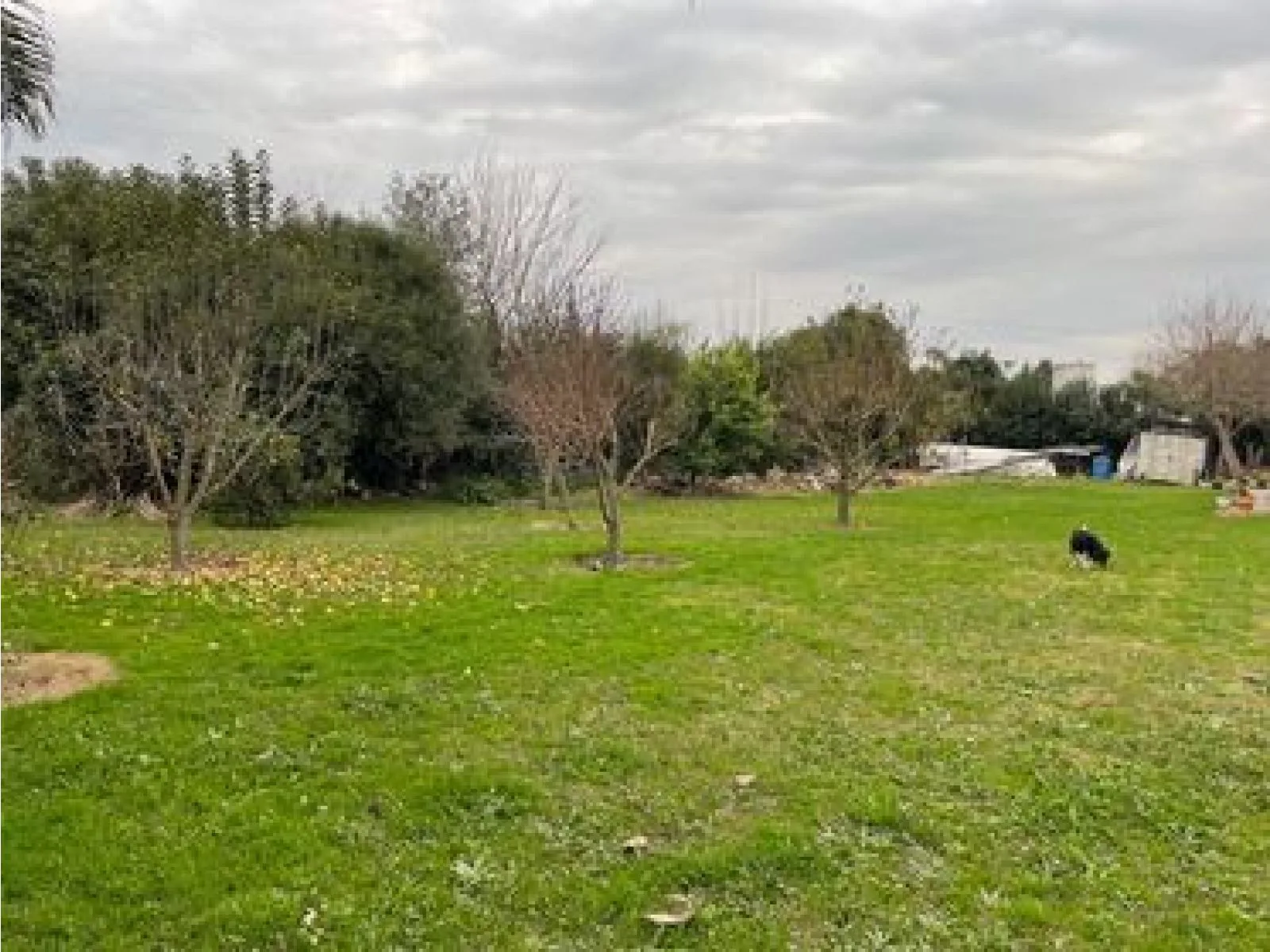 Lote ubicado en el Barrio Sanchez Espuelas - 15 x 50 foto 4