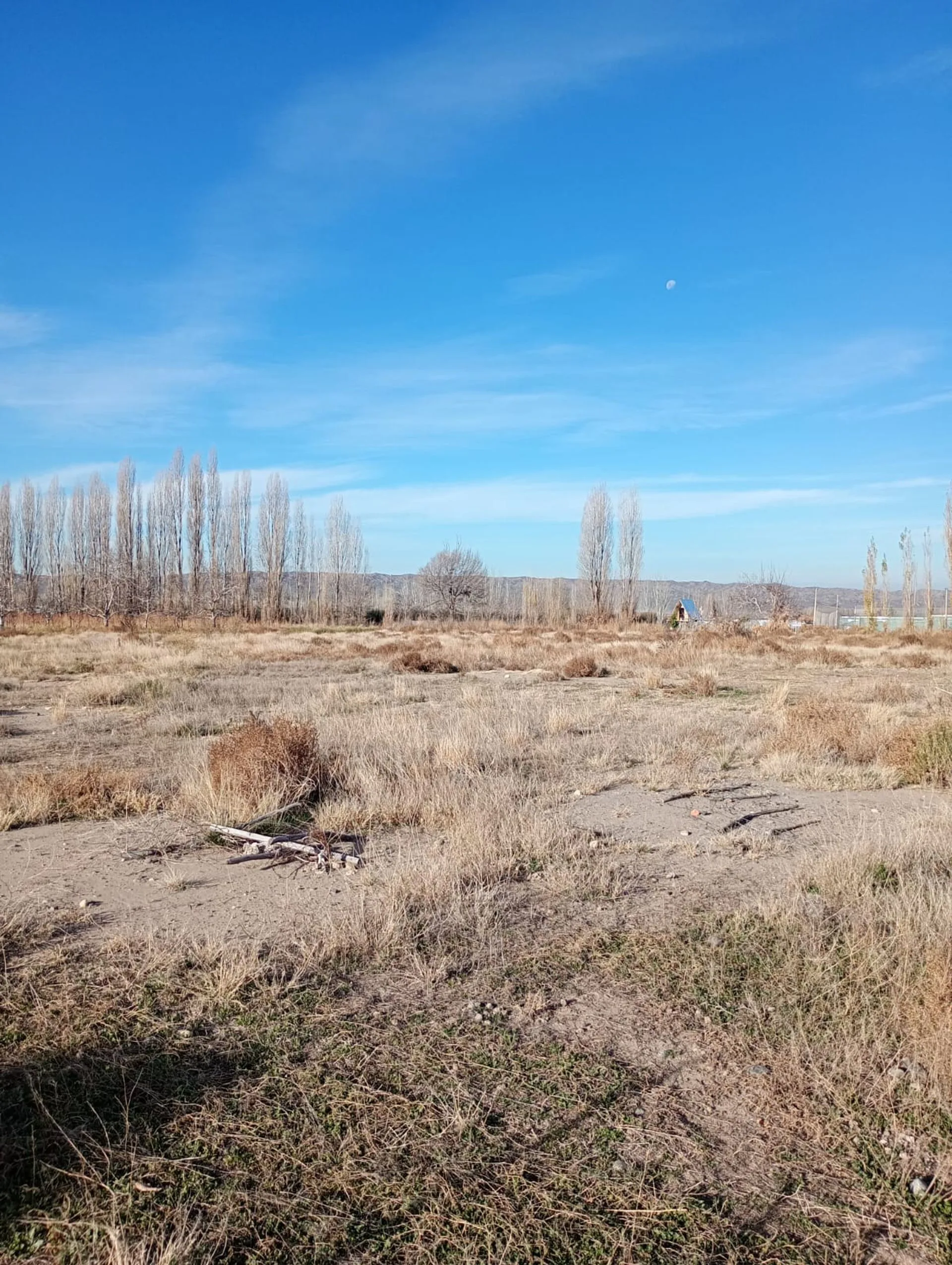 Terreno para Galpon de Empaque y Frutas con Frio foto 2